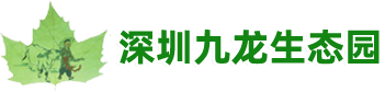 开云电子网页版