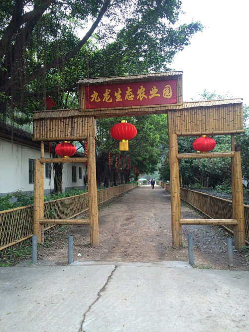 深圳观澜九龙山生态园需要门票吗？有车接送吗？农家乐怎样消费的呢？