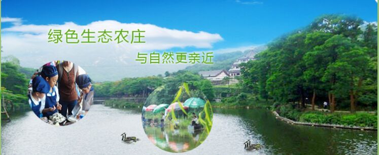 景旺电子公司员工活动嗨翻深圳农家乐九龙生态园