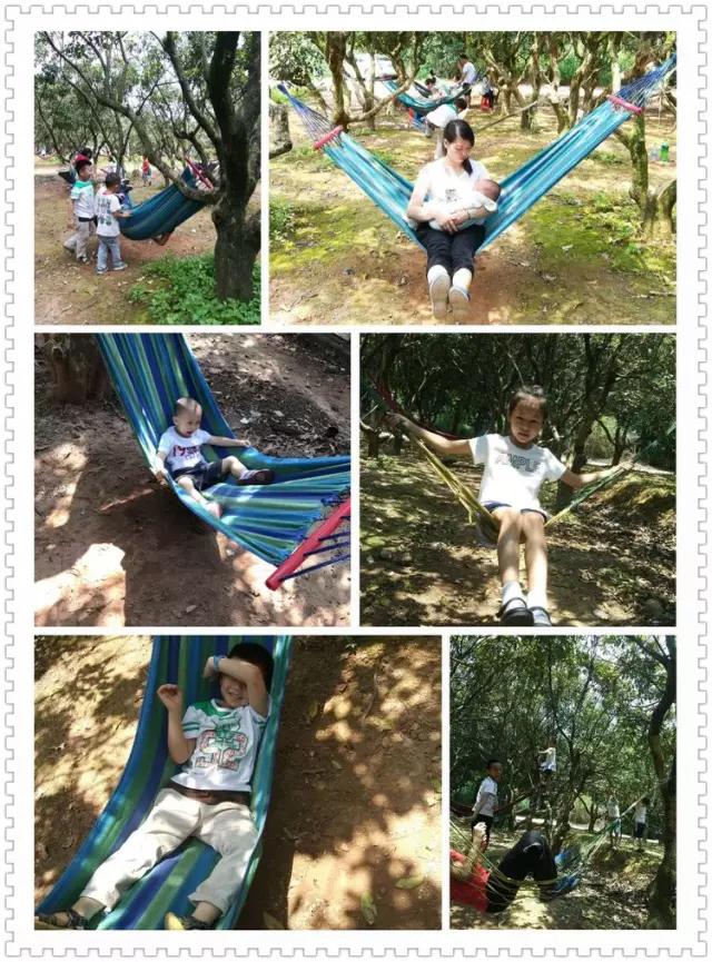 微信图片_20170607105038.jpg
