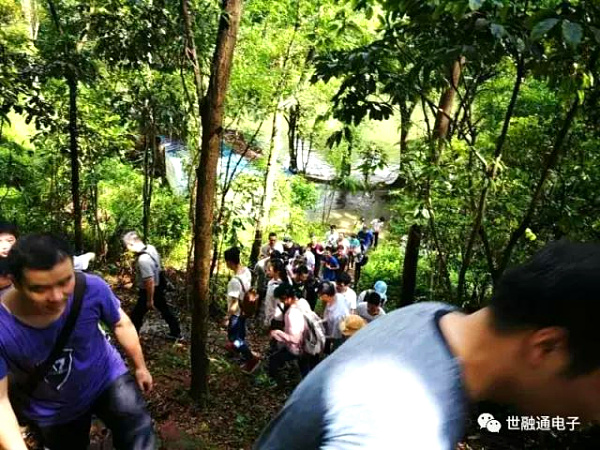 微信图片_20170707145858.jpg