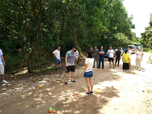 深圳彩生活公司在龙华农家乐九龙山生态园开展户外拓展活动