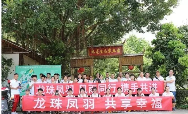 深圳农家乐迎来龙珠凤羽团队拓展在九龙山生态园举办圆满成功！