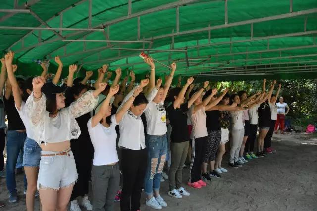 众金在线员工户外团队拓展活动在深圳农家乐九龙山生态园展开