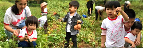 微信图片_20171107163642.jpg
