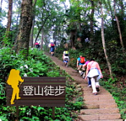 毅能达相约深圳九龙生态园——纵情春意盎然的山水之旅
