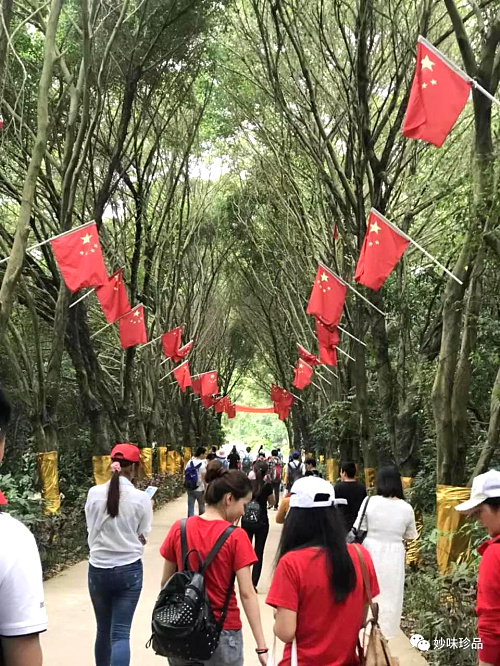 到达九龙生态园