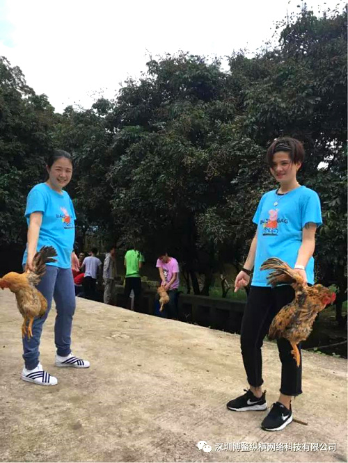 户外野炊.jpg