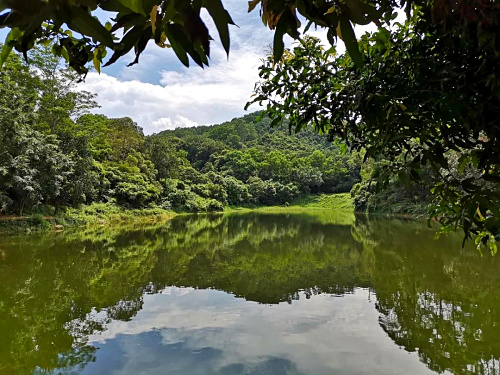 居众设计院助理部深圳九龙山生态园团建活动