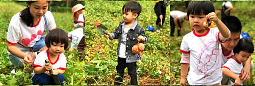 微信图片_20171107163642.jpg