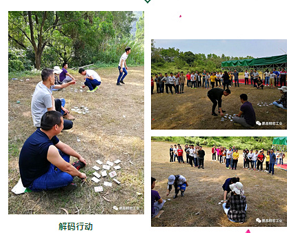 解码行动.jpg