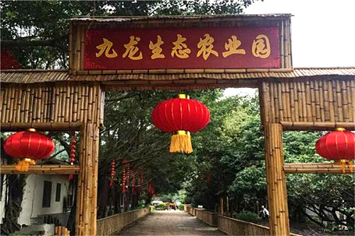 九龙生态农业园.jpg