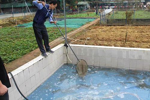池塘捞鱼.jpg