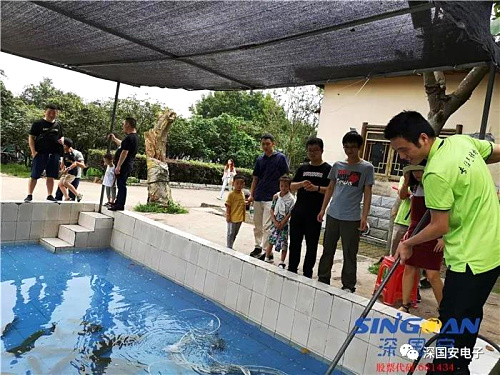 抓鱼.jpg