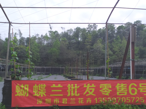 微信图片_20200324170817.jpg