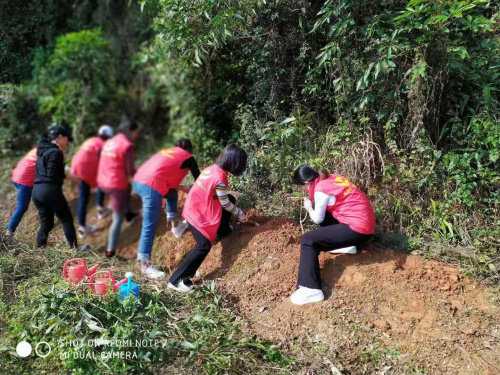 我与九龙生态园有个春天的约会——植树